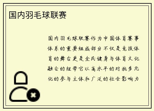 国内羽毛球联赛