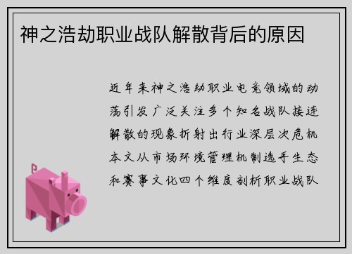 神之浩劫职业战队解散背后的原因